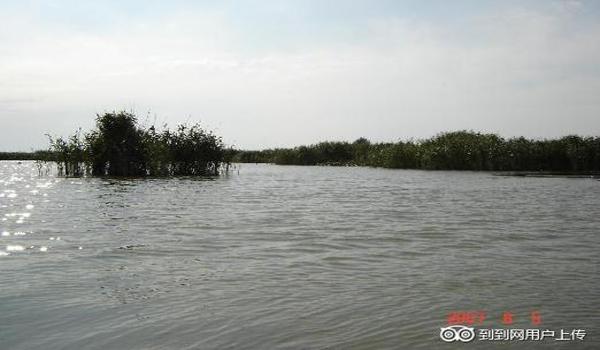 三角洲体验服下载(给我三角洲体验服的直接下载链接) 三角洲体验服下载(给我三角洲体验服的直接下载链接)